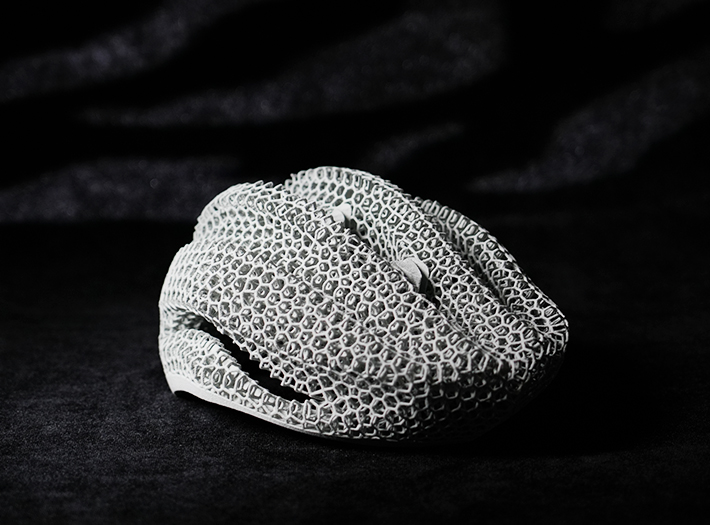 Raise3D RMS220 Webpage - 2 TCO Helmet Lining